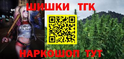 индика Будённовск