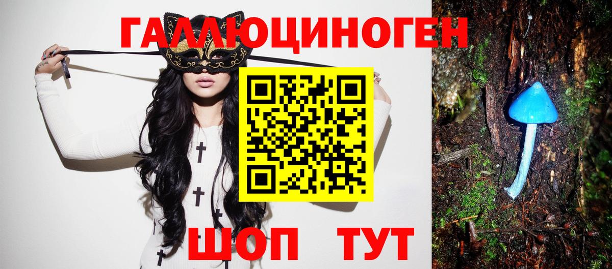 Псилоцибиновые грибы мицелий Партизанск